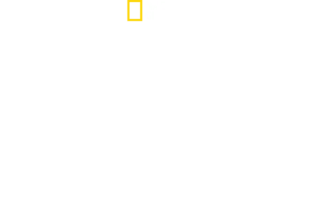 Haie auf Angriff