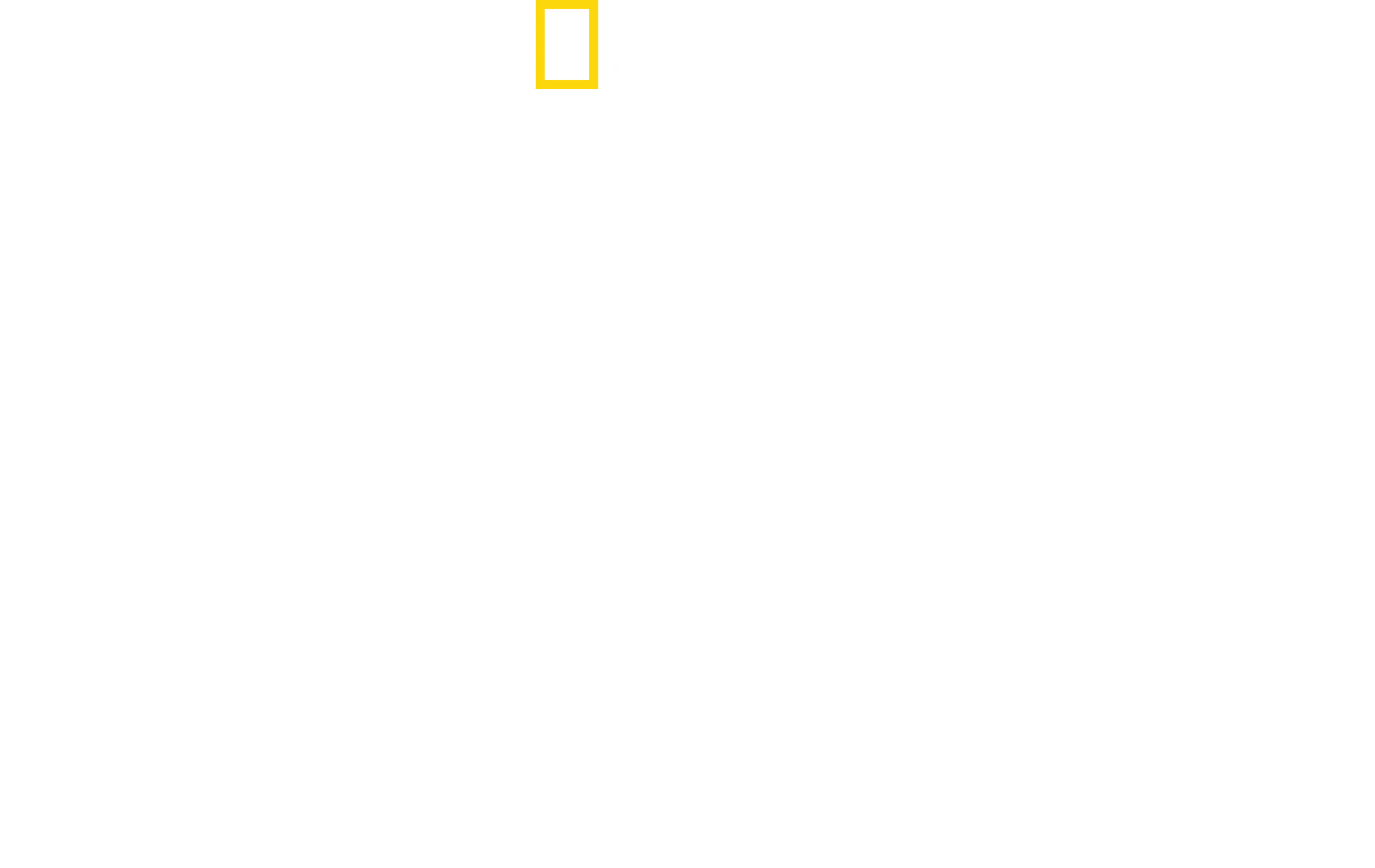 Haie auf Angriff