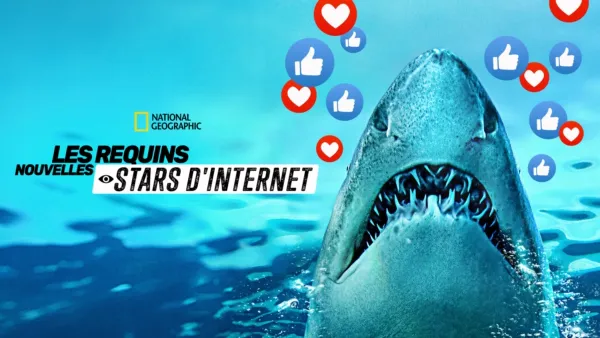 thumbnail - Les requins : ces nouvelles stars des réseaux