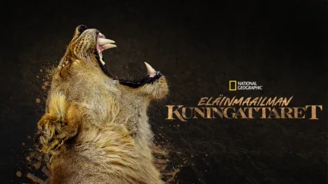 thumbnail - Eläinmaailman kuningattaret