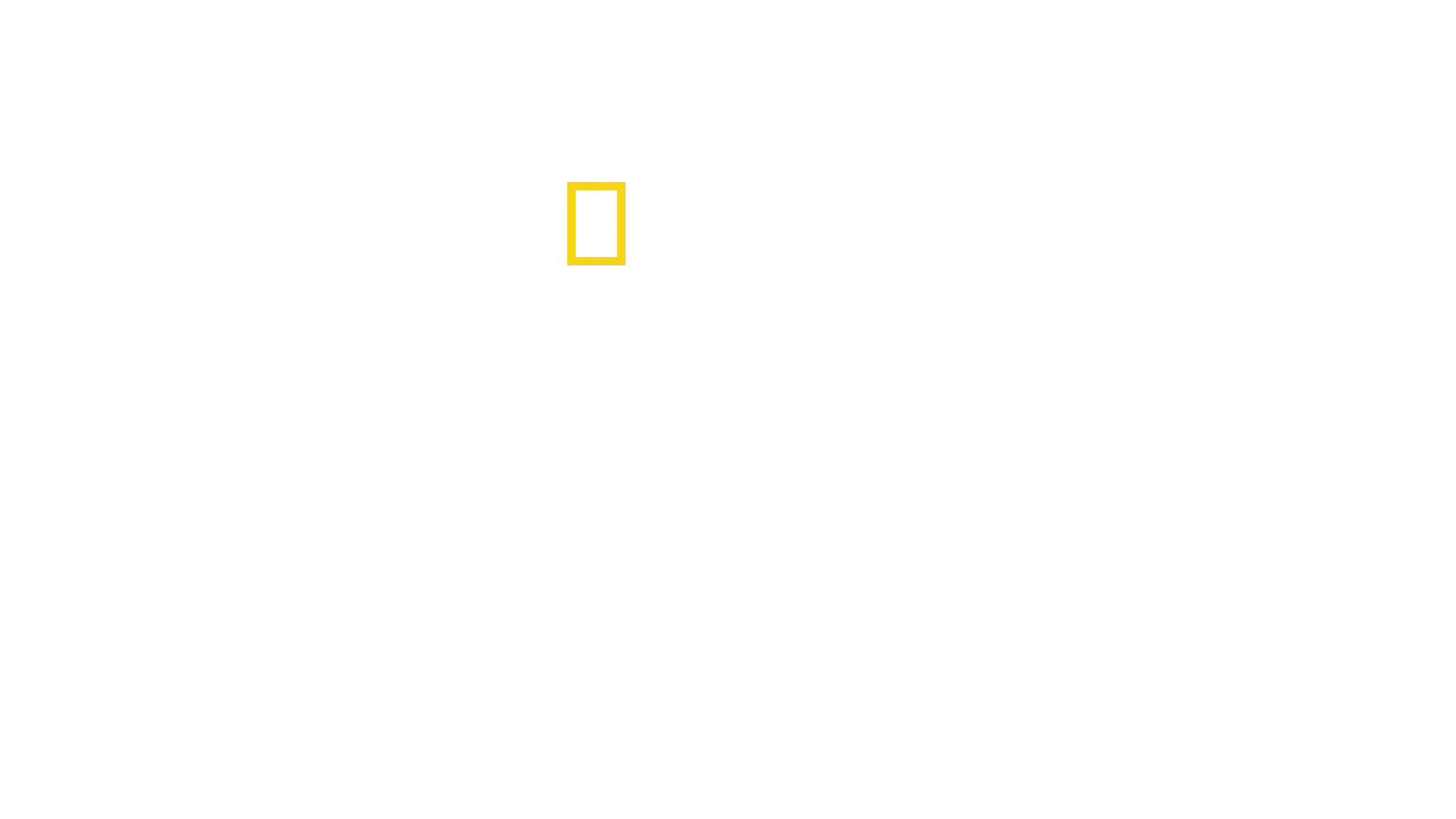 La clinique des animaux exotiques