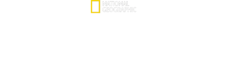 La clinique des animaux exotiques