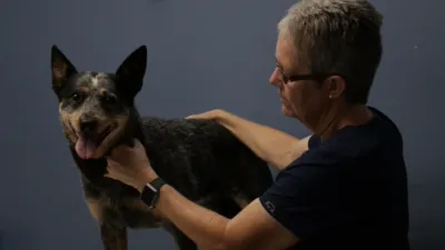 thumbnail - S1:E6 Gotta Catch 'em All!