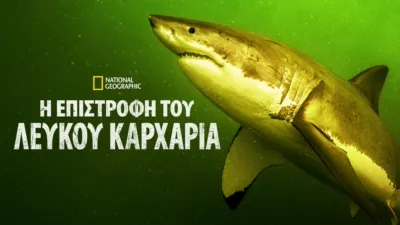 Η Επιστροφή του Λευκού Καρχαρία