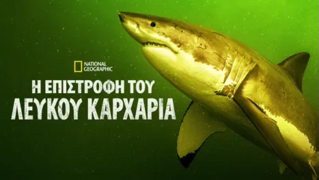 thumbnail - Η Επιστροφή του Λευκού Καρχαρία