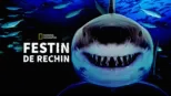 thumbnail - Festin de rechin