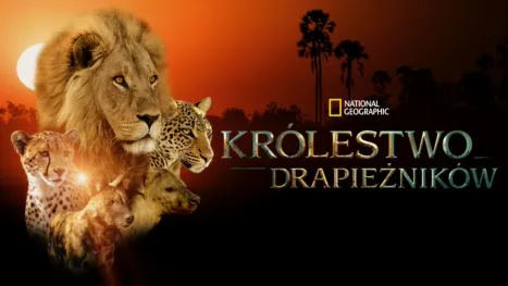 thumbnail - Królestwo drapieżników