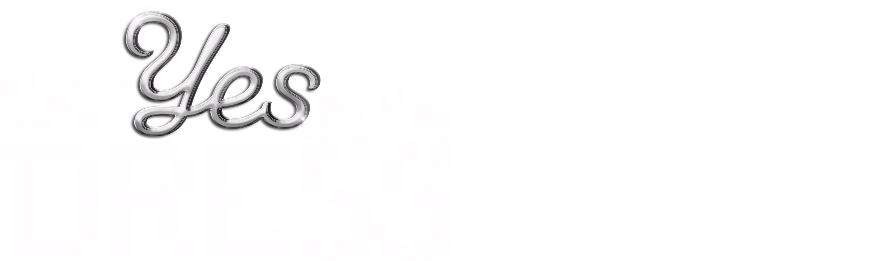 Say Yes to the Dress