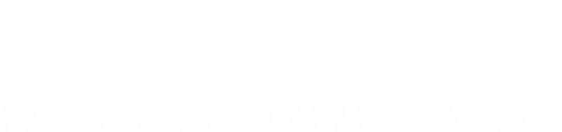 Fantastic Four: Hopeasurffari