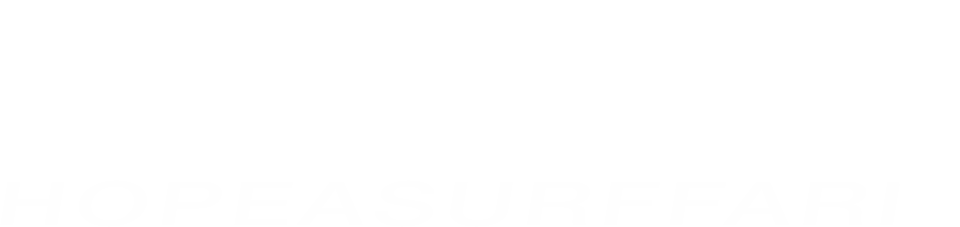Fantastic Four: Hopeasurffari