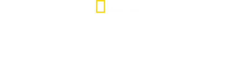 Drugs Inc.: Ur langarnas perspektiv