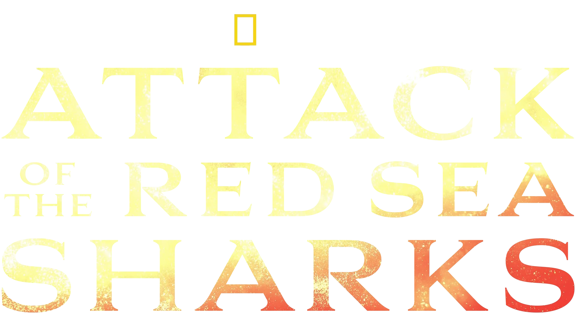Attack of the Red Sea Sharks