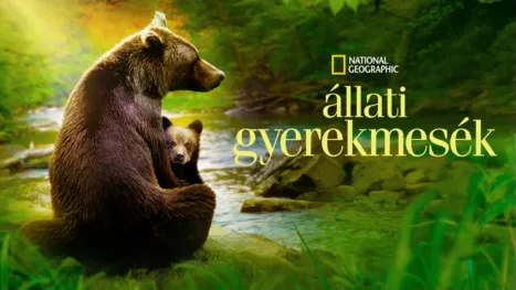 thumbnail - Állati gyerekmesék