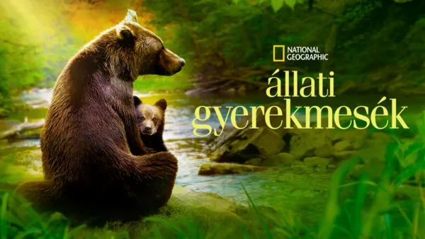 thumbnail - Állati gyerekmesék