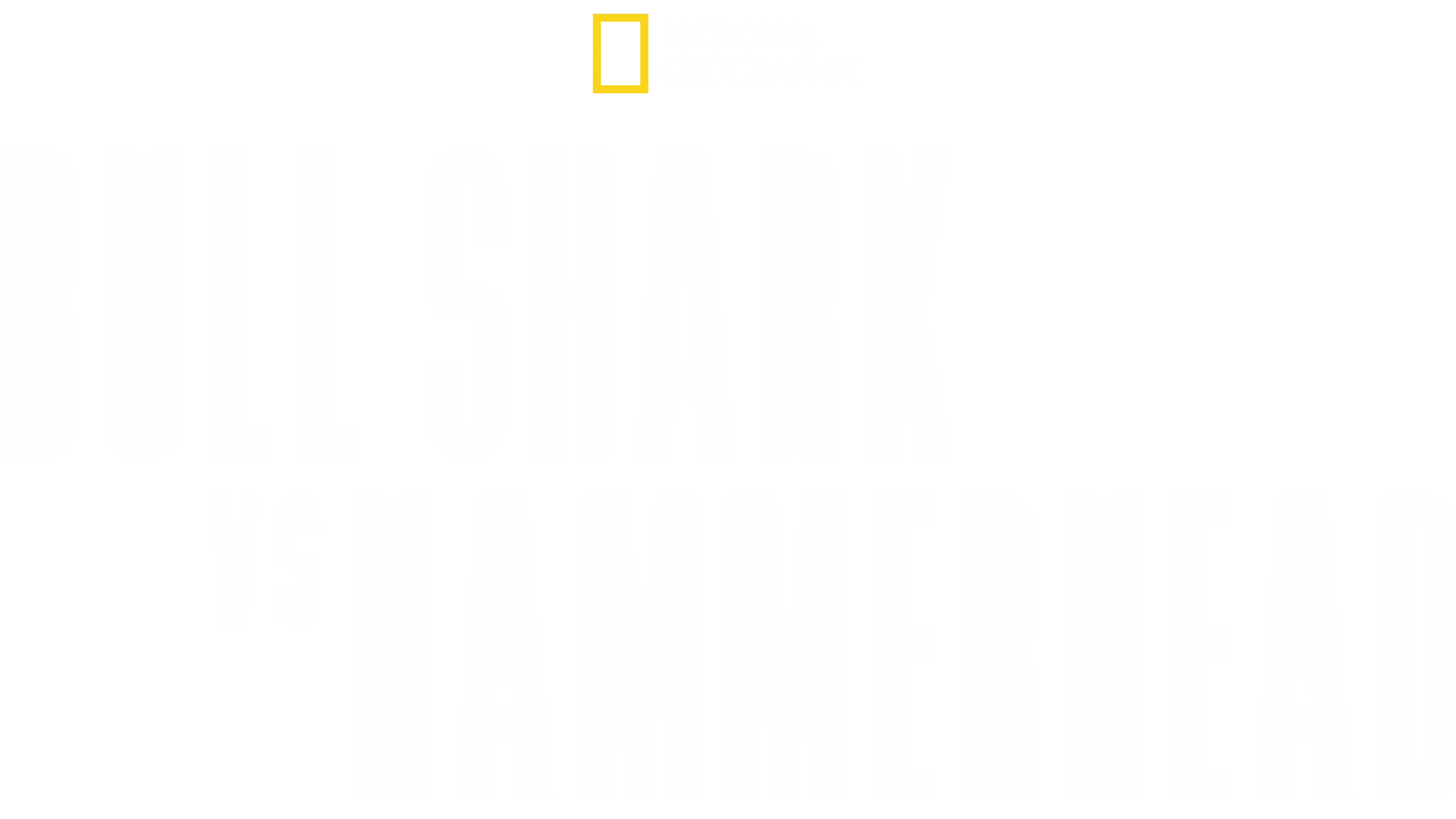 Bull Shark vs. Hammerhead