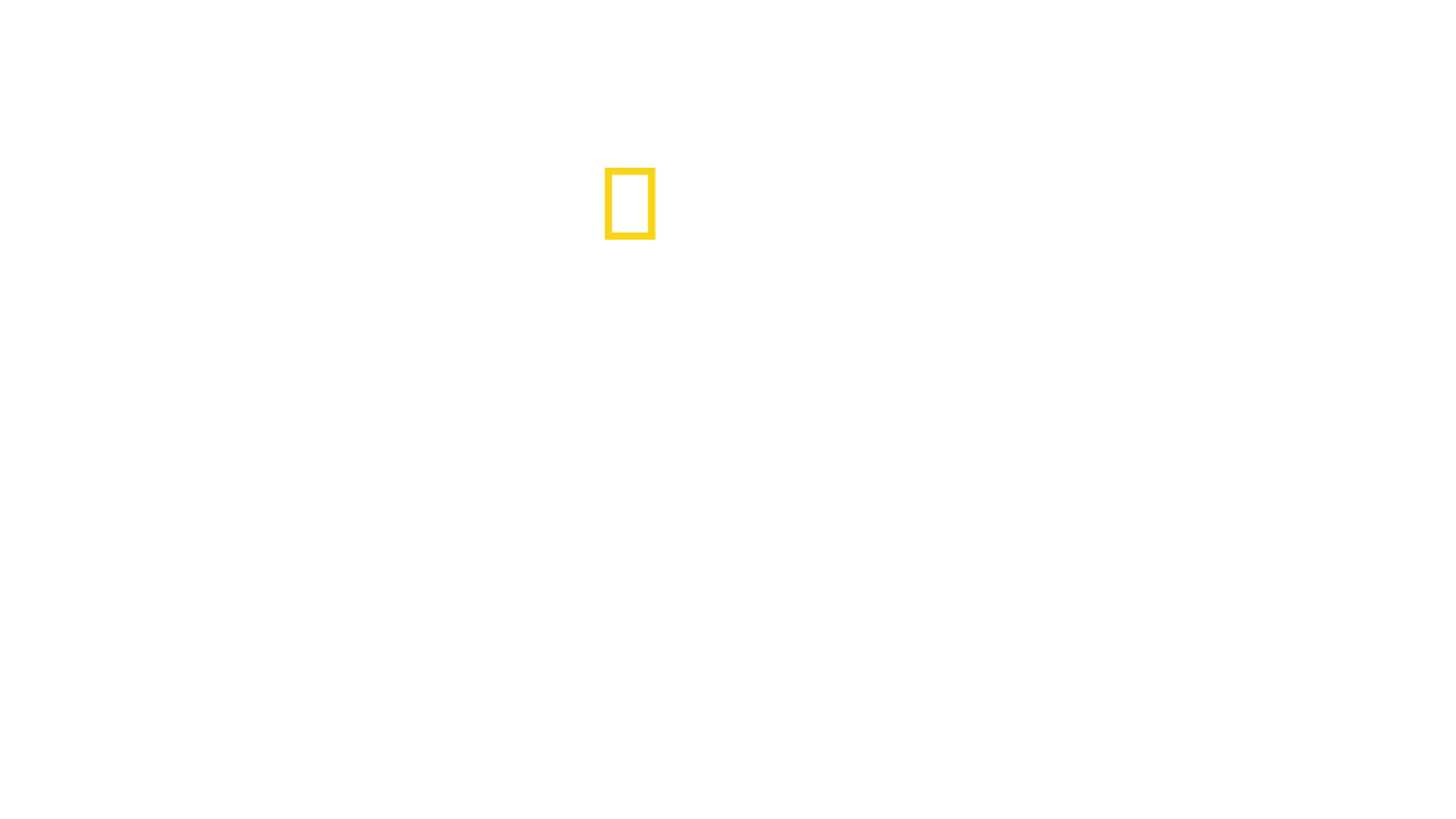 Rechinii din insulele Pitcairn