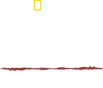 決死のサバイバル：大河メコン