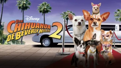 Una chihuahua de Beverly Hills 2