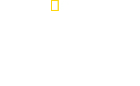 Mars: V raketě Falcon Heavy