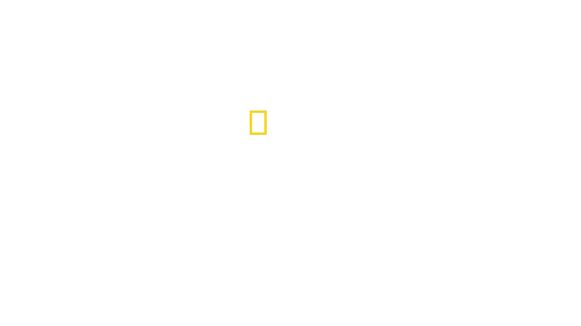 Før syndfloden