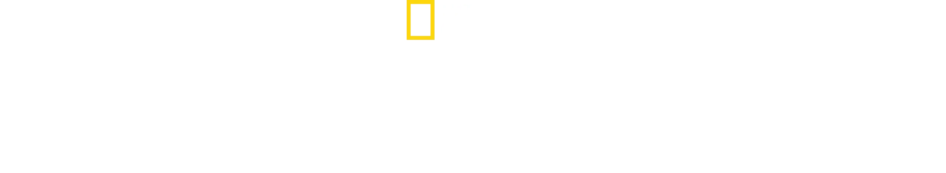Før syndfloden