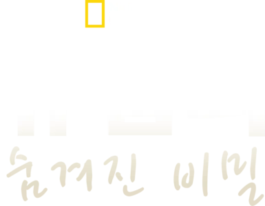 유럽의 숨겨진 비밀