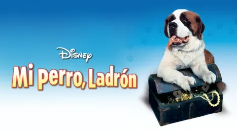 thumbnail - Mi perro ladrón