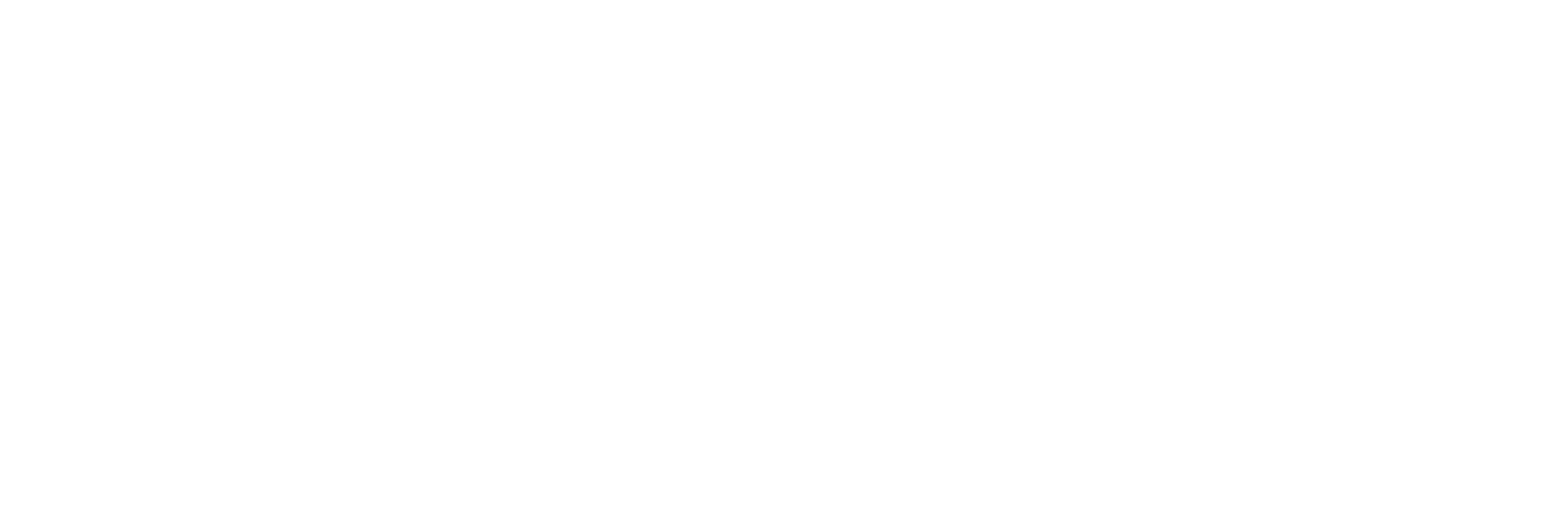 Universuri Paralele