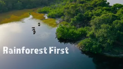 Rainforest First: Climate Protection in Central Africa