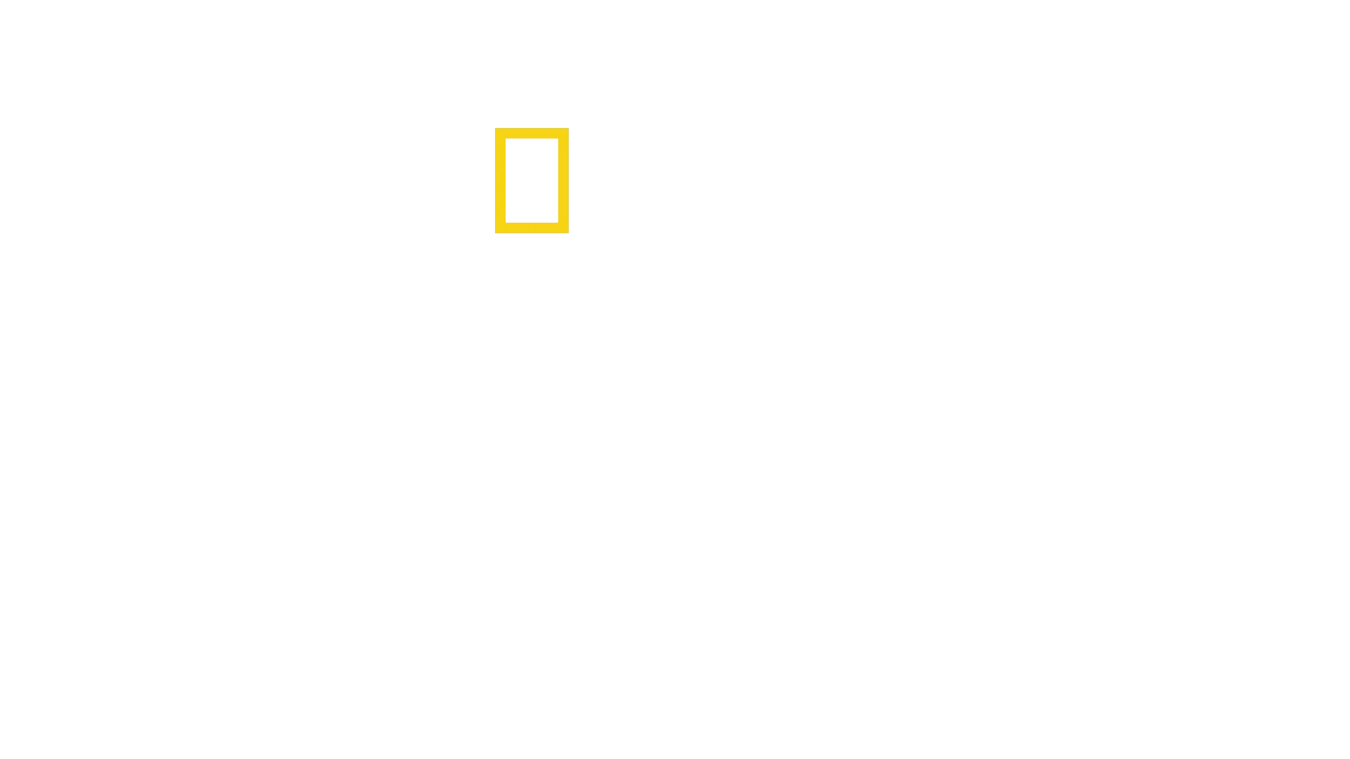 JAWS @ 50: The Definitive Inside Story
