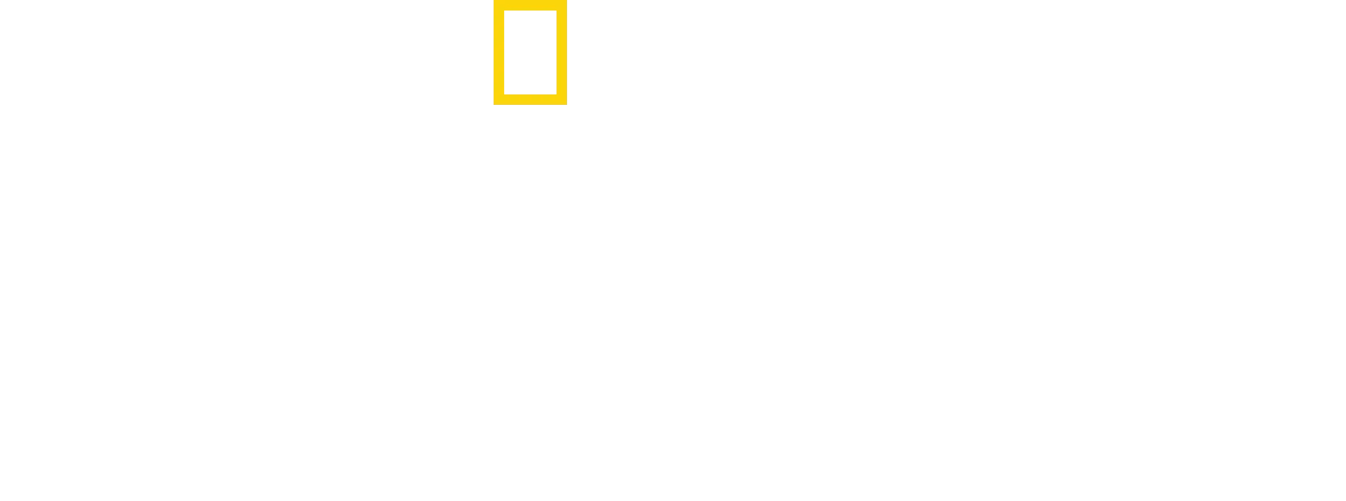 JAWS @ 50: The Definitive Inside Story