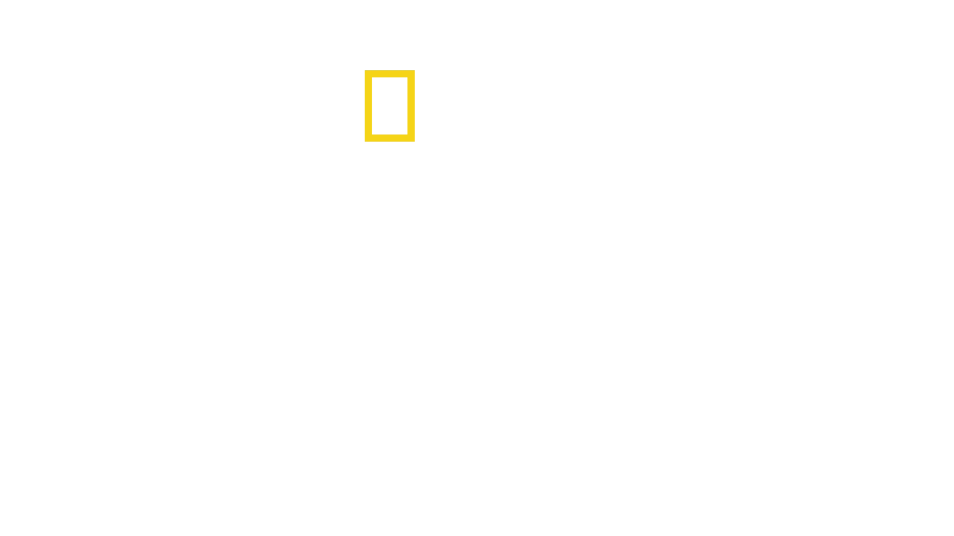 Απόλυτο Ταξίδι Επιβίωσης: Β' Παγκόσμιος Πόλεμος