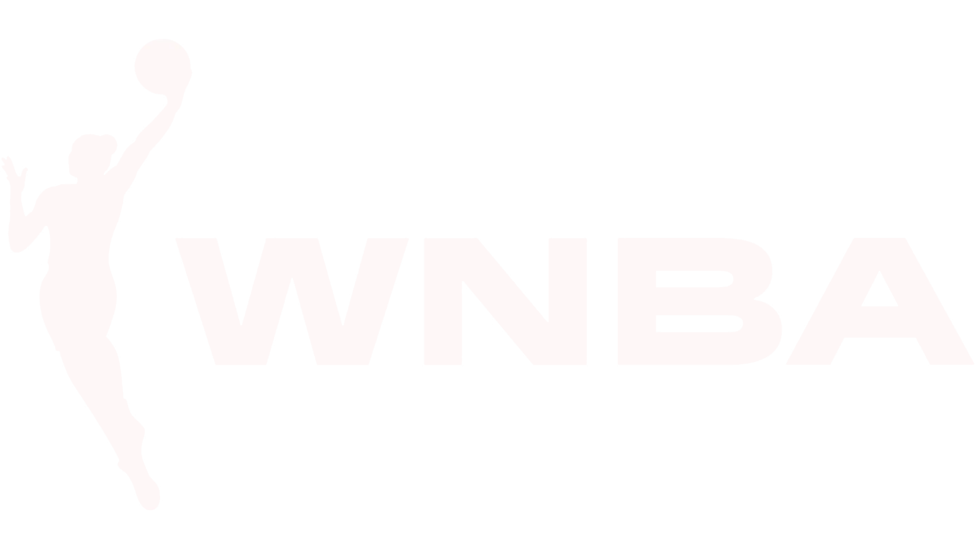 Women's National Basketball Association