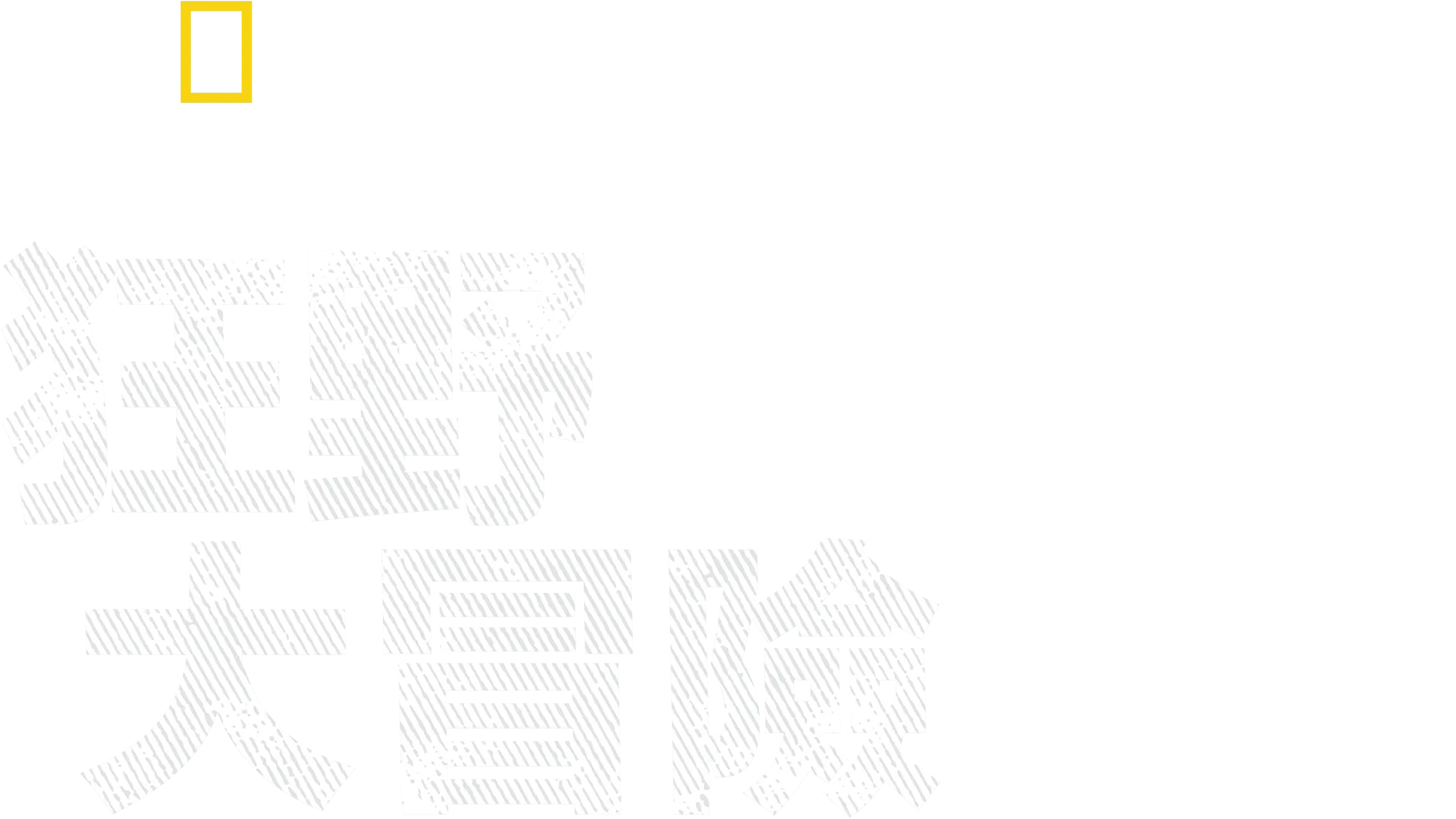 攝影師伯蒂的狂野大冒險