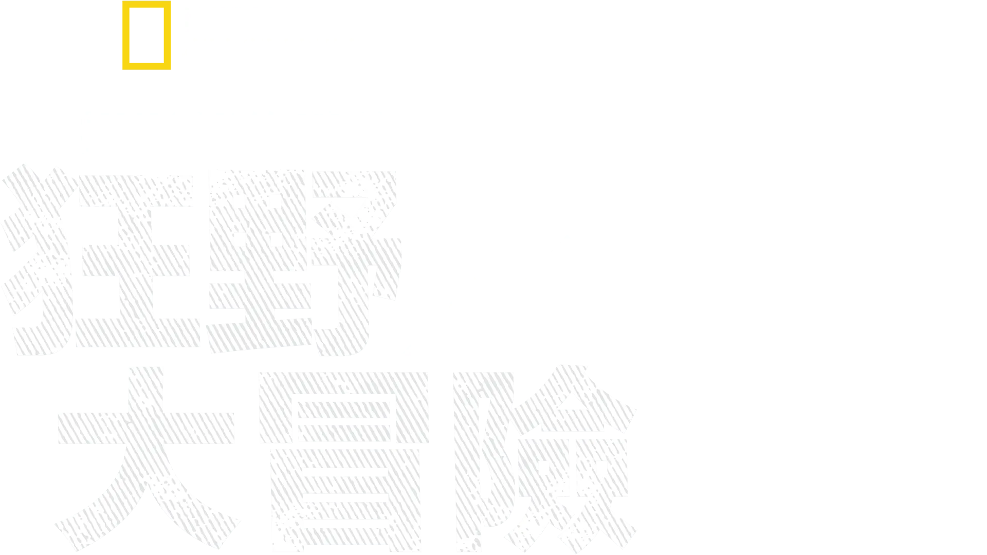 攝影師伯蒂的狂野大冒險