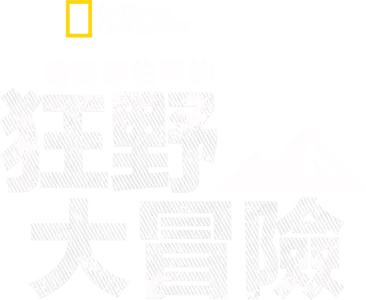 攝影師伯蒂的狂野大冒險