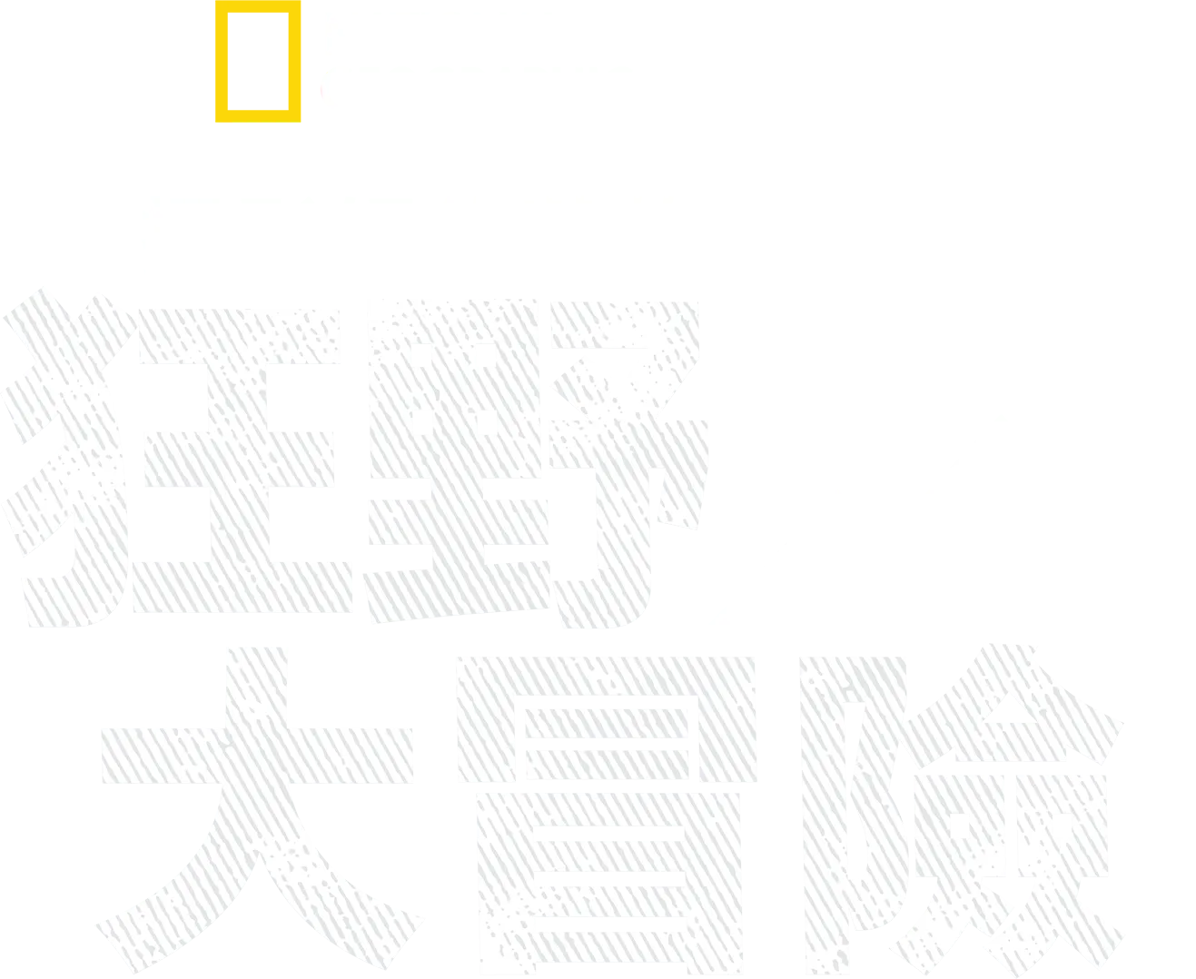 攝影師伯蒂的狂野大冒險