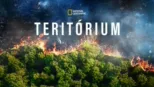 thumbnail - Teritórium