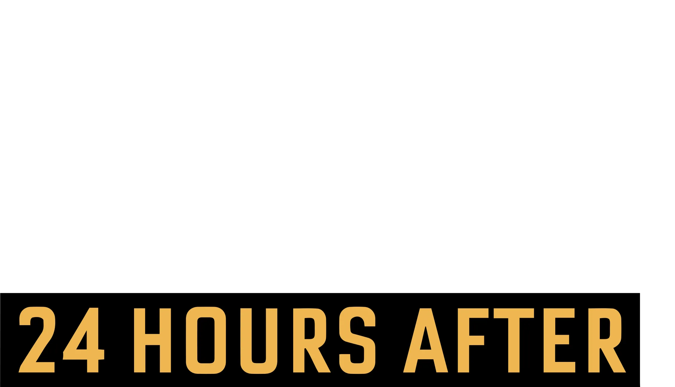 The Kennedy Assassination: 24 Hours After