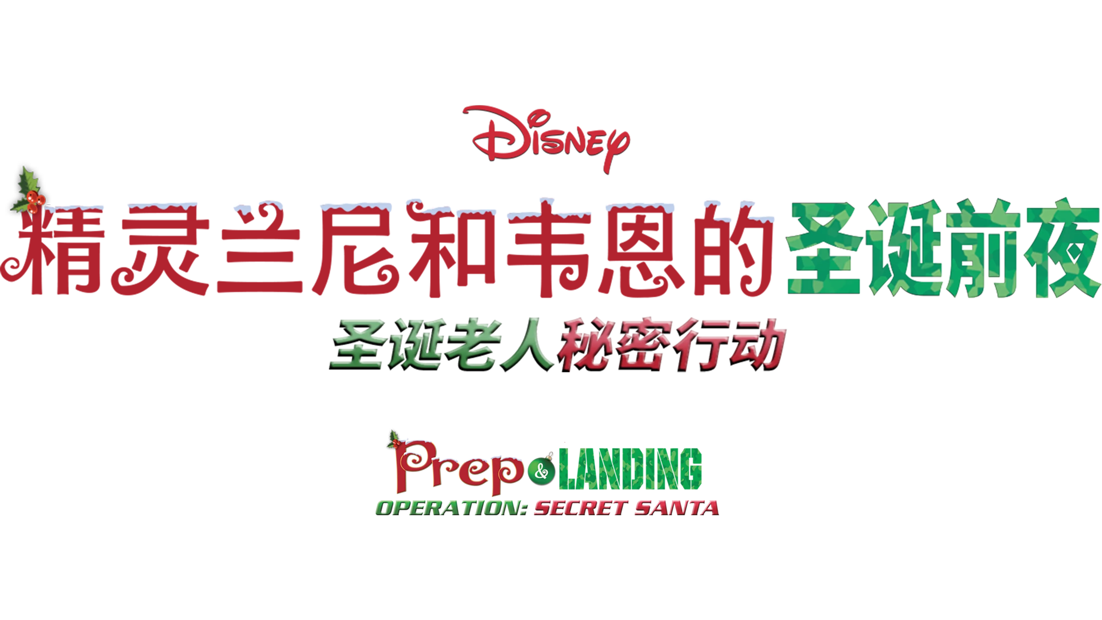 精灵兰尼和韦恩的圣诞前夜：圣诞老人秘密行动