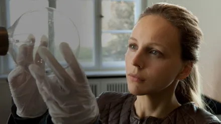 Ein gefährliches Angebot