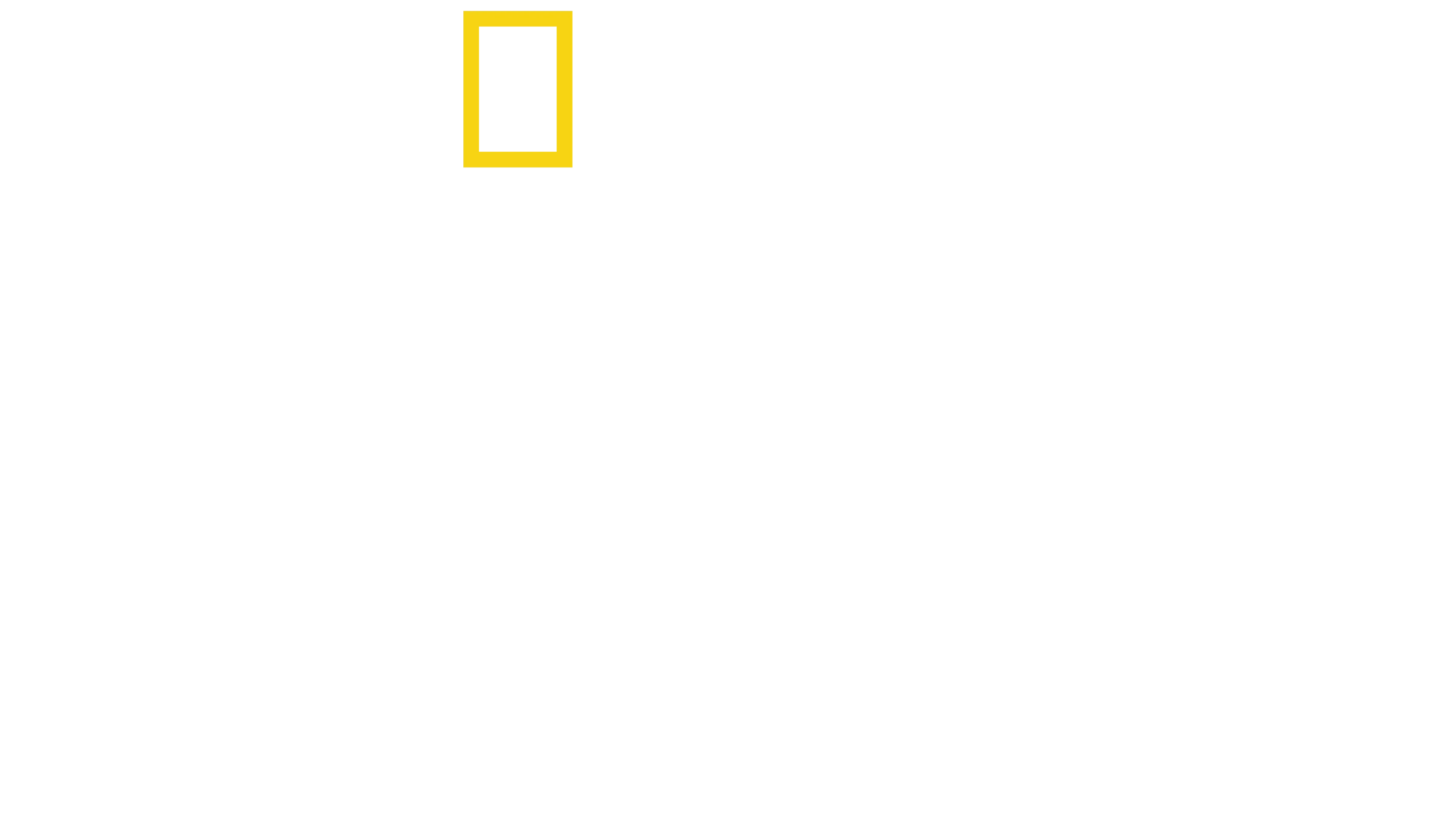A polipok titkai