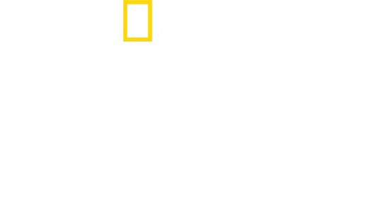 A polipok titkai