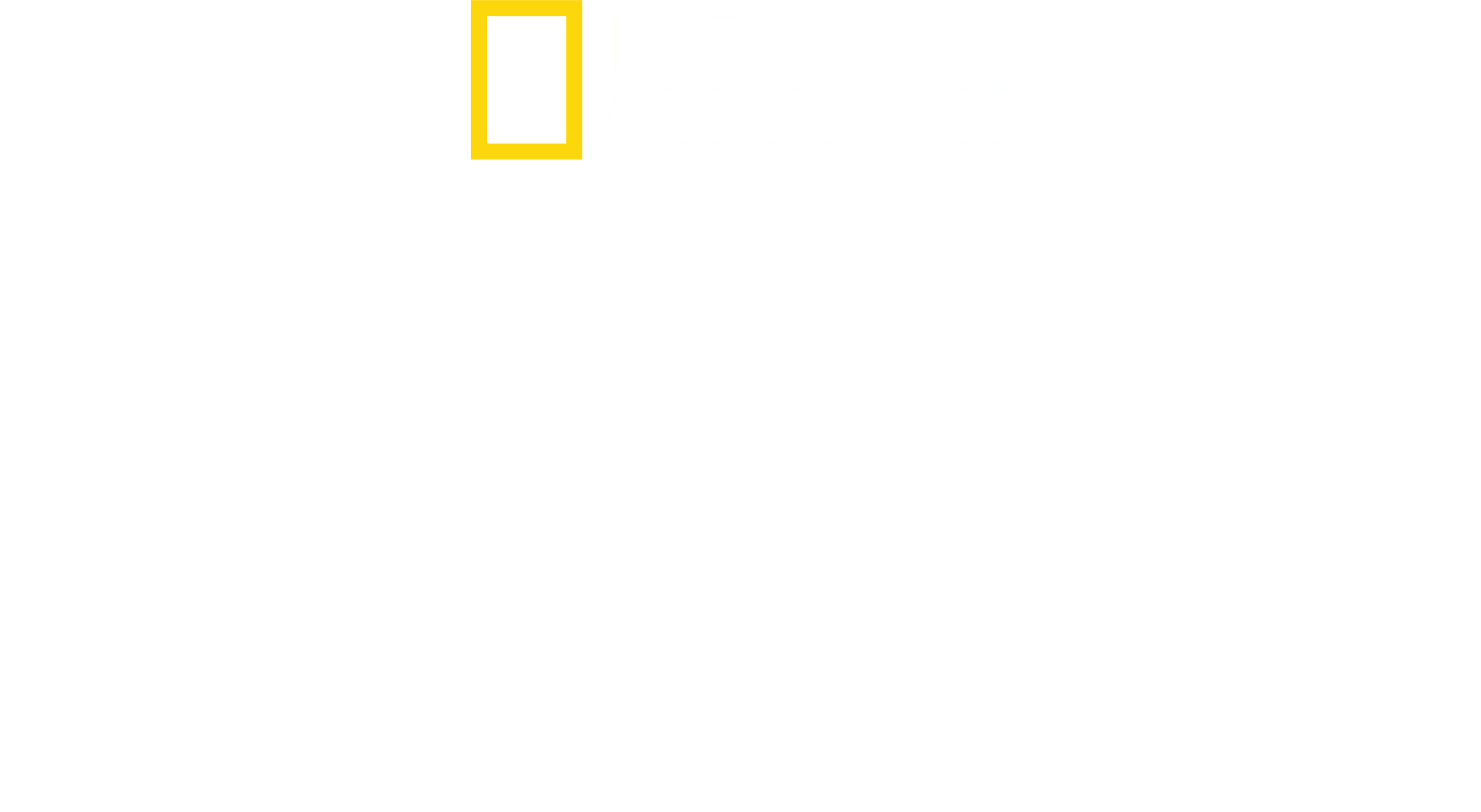 A polipok titkai