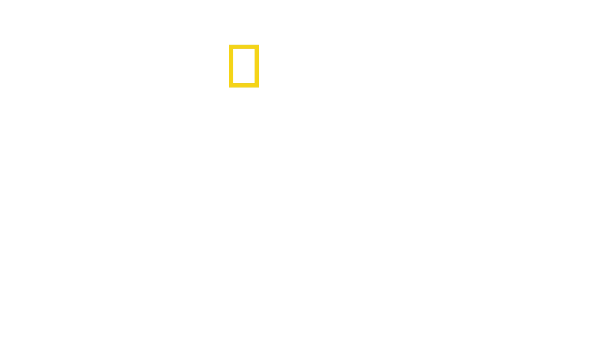 Segredos dos Elefantes