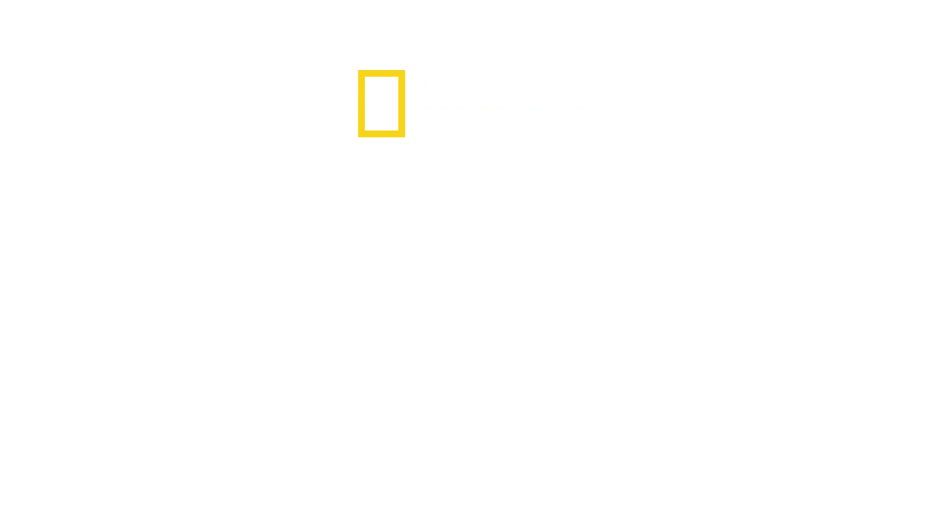 Segredos dos Elefantes