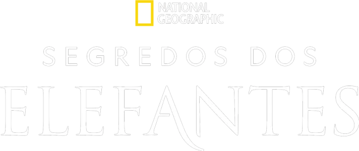 Segredos dos Elefantes