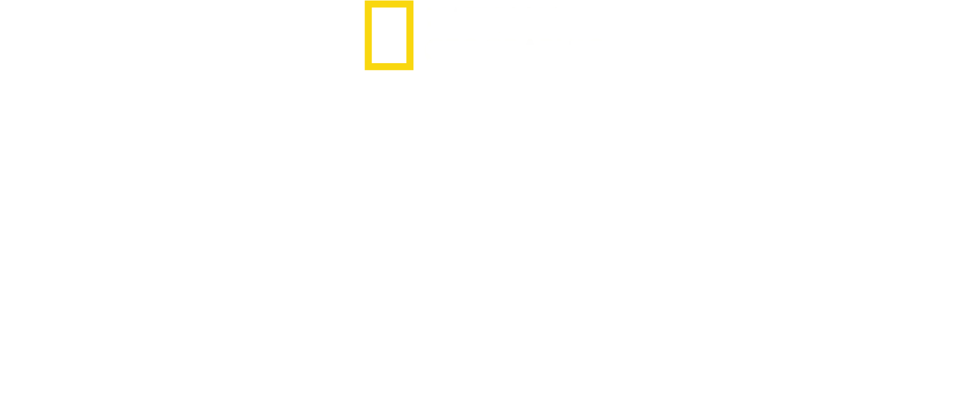 Segredos dos Elefantes