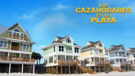 thumbnail - Beach Hunters