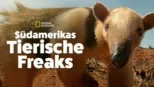 thumbnail - Südamerikas tierische Freaks